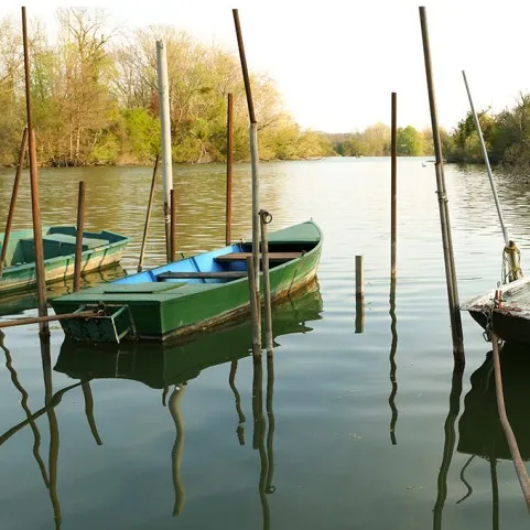 URMĂTOARELE DE BĂRCI