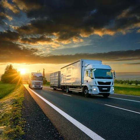 DISPOZITIVE DE URMĂRIRE PENTRU CAMIOANE