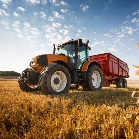 URMĂTOARELE DE RECOLTAT