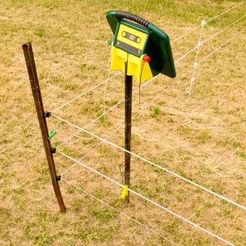 URMĂTOARELE ELECTRICE SHEPHERD