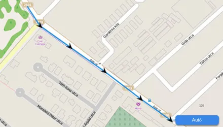 Monitorizare în timp real